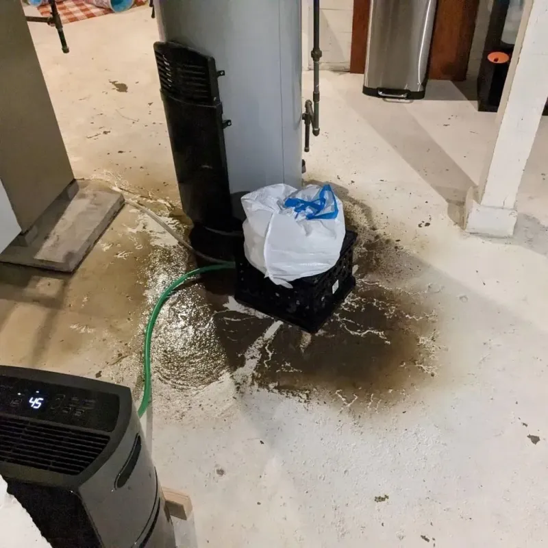 Sewage Backup Cleanup Service in Brookfield, MO